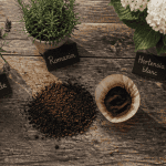 quelles plantes n'aiment pas le marc de café en pot