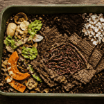 Vers de terre compost sur terreau et déchets organiques