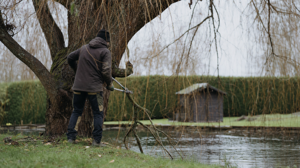 Quand et comment tailler un saule pleureur : jardinier en train de tailler en hiver