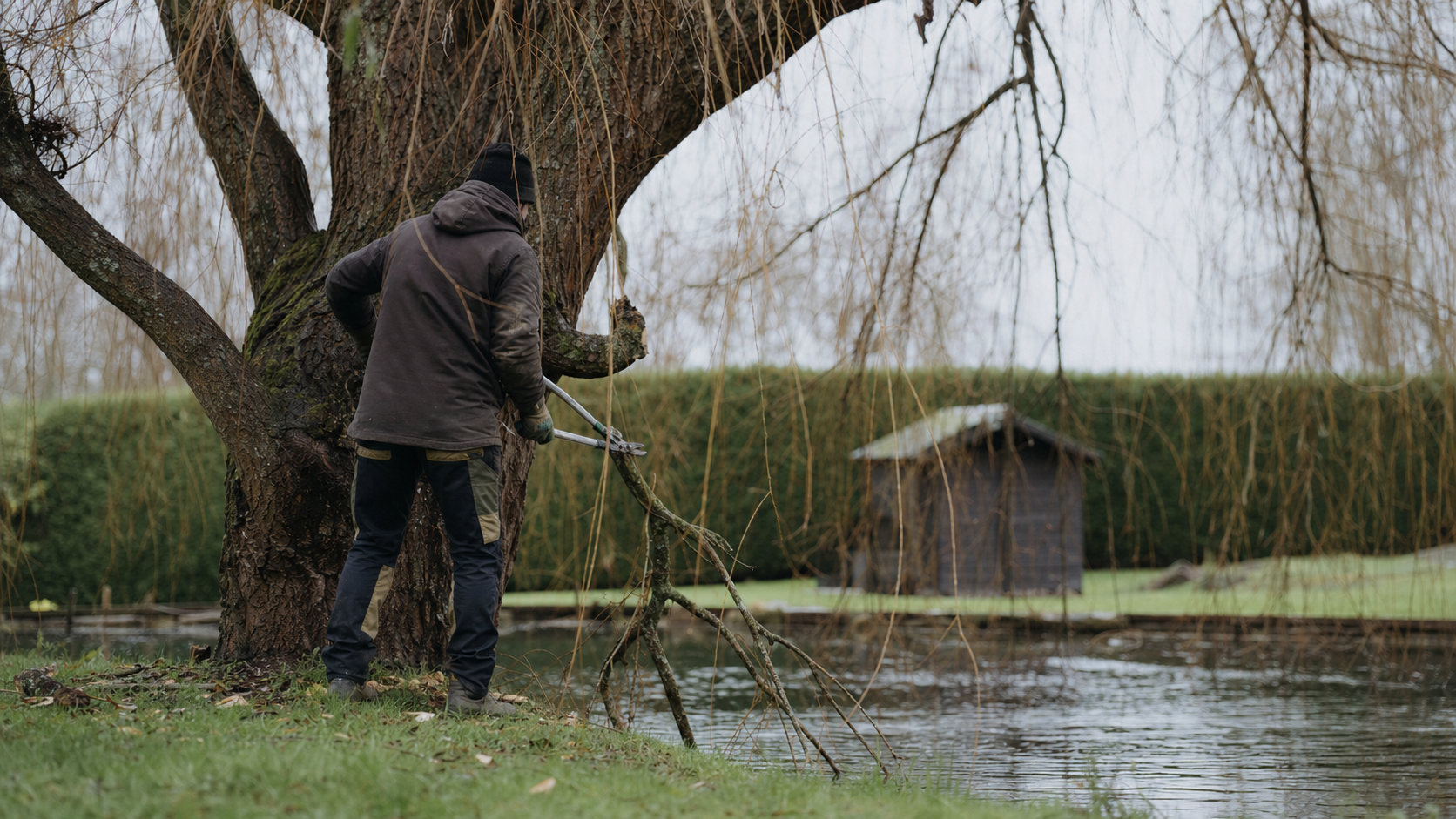 Quand et comment tailler un saule pleureur : jardinier en train de tailler en hiver