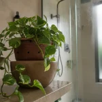 Plantes faciles pour salle de bain : pothos dans une salle de bain humide, lumière douce